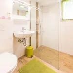 Almliesl Gast-387 Ferienhaus Bad Gastein